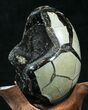 Septarian Dragon Egg Geode - Black Calcite Crystals #33982-2